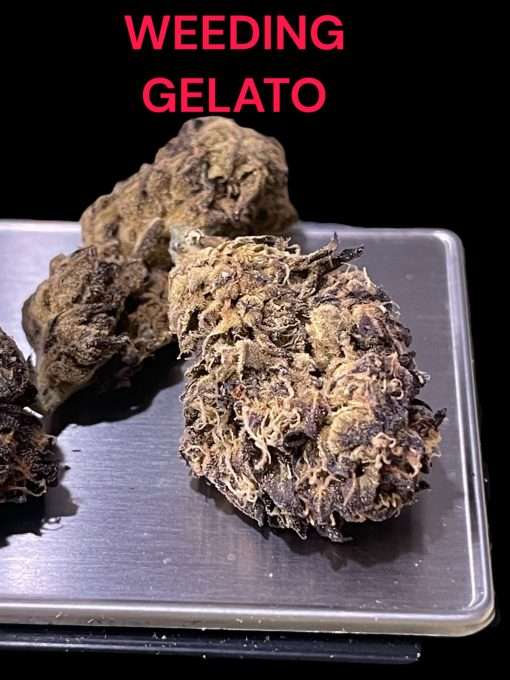 WEDDING GELATO 28g OZ ON SALE $100 🔥🔥🔥HYBDRID 23%THC