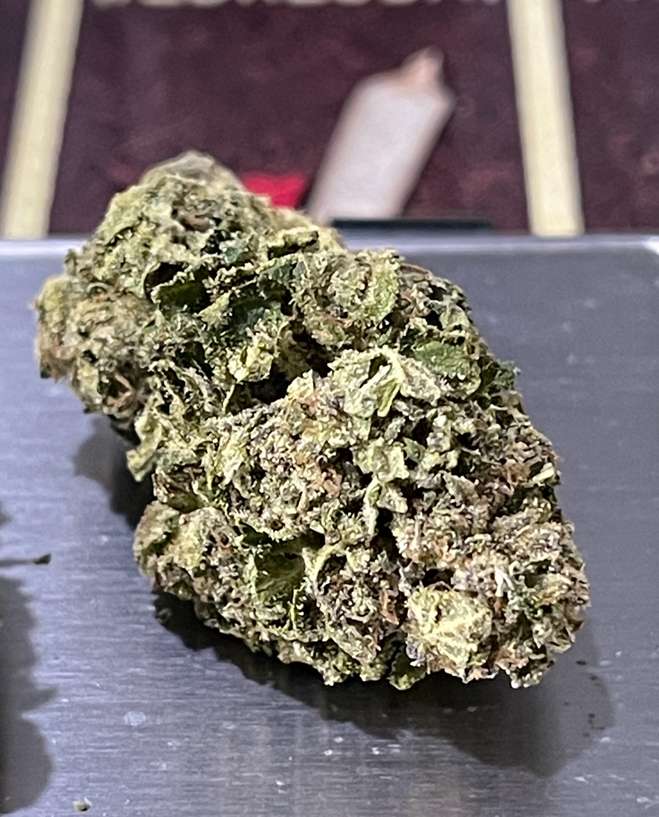 Sour Joker: Unveiling the Zesty Delights of this Citrusy Cannabis ...