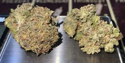 WHITE BUFFALO28g OUnCe SATIVA ON SALE $120