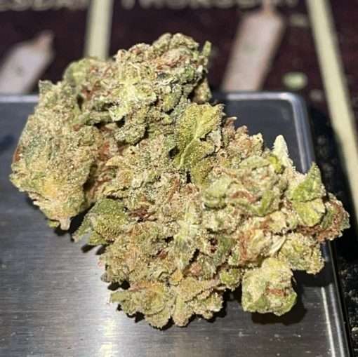 WHITE BUFFALO28g OUnCe SATIVA ON SALE $120