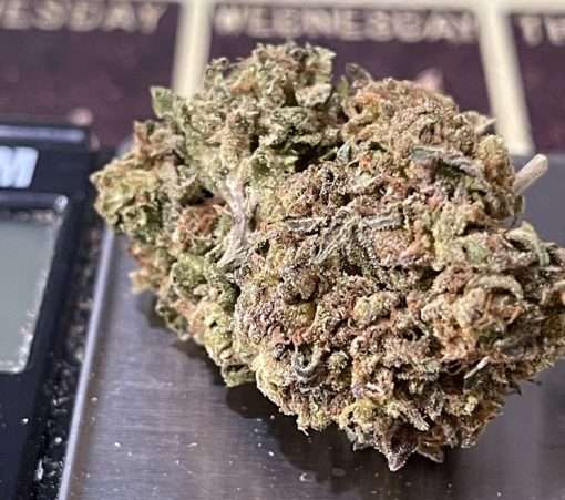 WHITE BUFFALO28g OUnCe SATIVA ON SALE $120