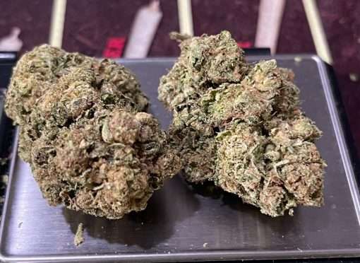 HAWAIN SNOW 28g SATIVA ON SALE 🔥🔥