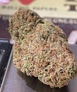 sativa delivery bronx