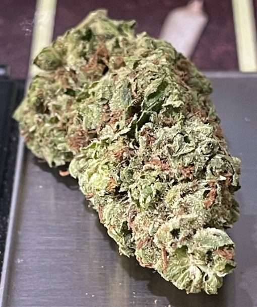 SOUR TANGIE 28g OZ SATIVA ON SALE 🔥🔥