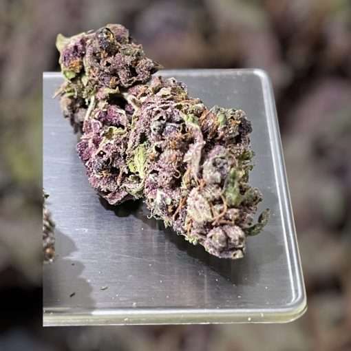 PURPLE HAZE 28gSATIVA ON SALE 🔥🔥26%