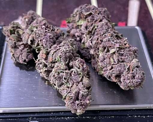 PURPLE HAZE 28gSATIVA ON SALE 🔥🔥26%