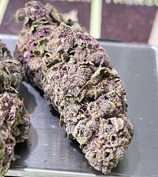 PURPLE HAZE 28gSATIVA ON SALE 🔥🔥