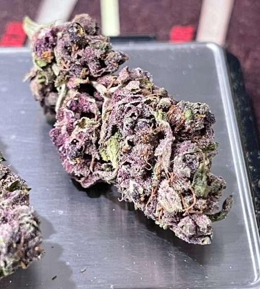 PURPLE HAZE 28gSATIVA ON SALE 🔥🔥