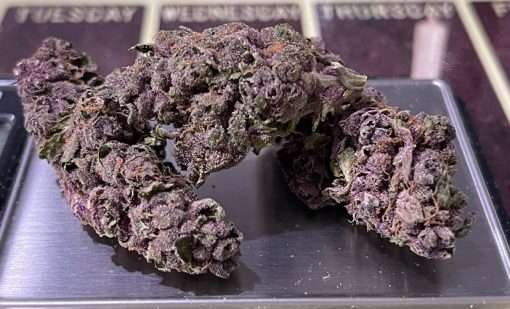 PURPLE HAZE 28gSATIVA ON SALE 🔥🔥