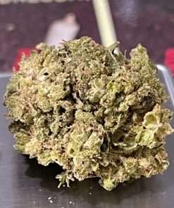 CANDY JACK 28g OZ ON SALE SATIVA