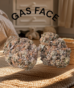 GAS FACE 3.5g HYBRID INDOOR 26%THC