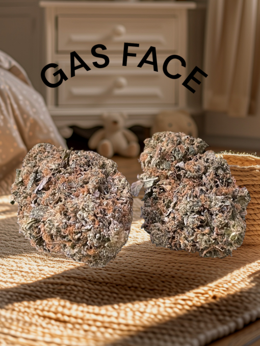 GAS FACE 3.5g HYBRID INDOOR 26%THC