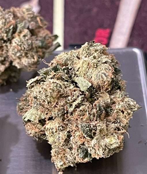 GORILLA OG 3.5g INDICA 27% INDOOR 🔥🔥