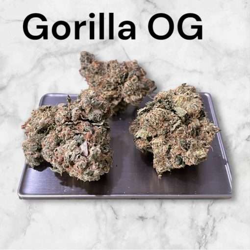 GORILLA OG 3.5g INDICA 27% INDOOR 🔥🔥