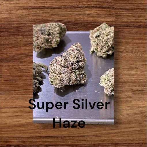 SUPER SILVER HAZE 28g OZ SATIVA EXOTICS MEDIUM NUGS 28%THC 🔥🔥