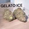 GELATO ICE 28g OZ ON SALE HYBRID