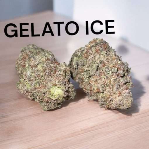 GELATO ICE 28g OZ ON SALE HYBRID