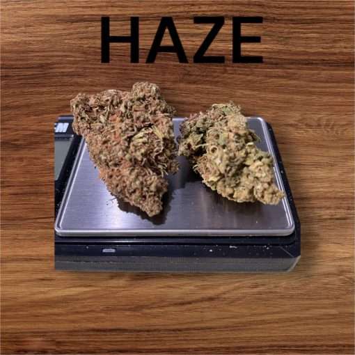 HAZE 28g ON SALE SATIVA 24%THC OZ on SALE