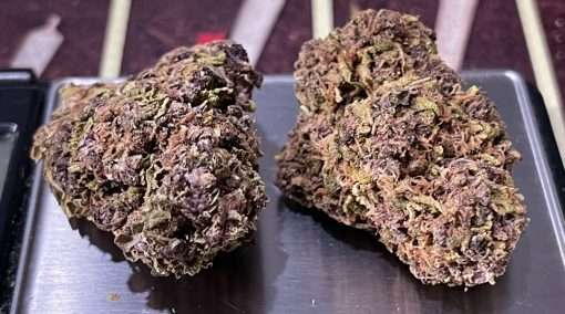 PURPLE RAIN 28g OZ ON SALE INDICA 23%THC