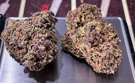 PURPLE RAIN 28g OZ ON SALE INDICA 23%THC