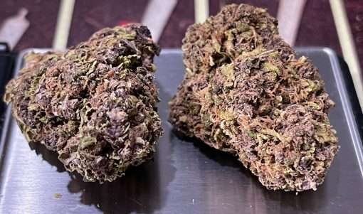 PURPLE RAIN 28g OZ ON SALE INDICA 23%THC