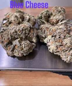 BLUE CHEESE 3.5g INDOOR 27%THC INDICA