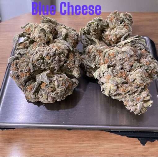 BLUE CHEESE 3.5g INDOOR 27%THC INDICA