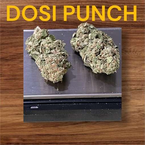 DOSI PUNCH 28g OZ ON SALE INDICA 🔥🔥