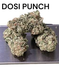 DOSI PUNCH 28g OZ ON SALE INDICA 🔥🔥