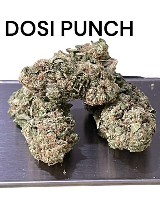 DOSI PUNCH 28g OZ ON SALE INDICA 🔥🔥