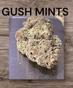 GUSH MINTS 28g OZ ON SALE INDICA 🔥🔥