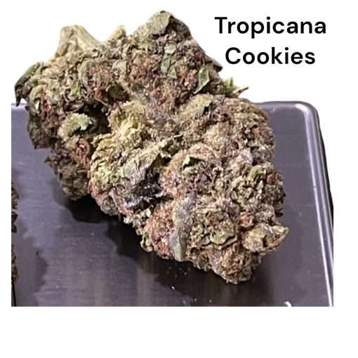 TROPICANA COOKIES 28g OZ ON SALE SATIVA 🔥🔥🔥