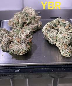 YELLOW BRICK ROAD 3.5g SATIVA/H 🔥🔥37%THC  EXOTICS