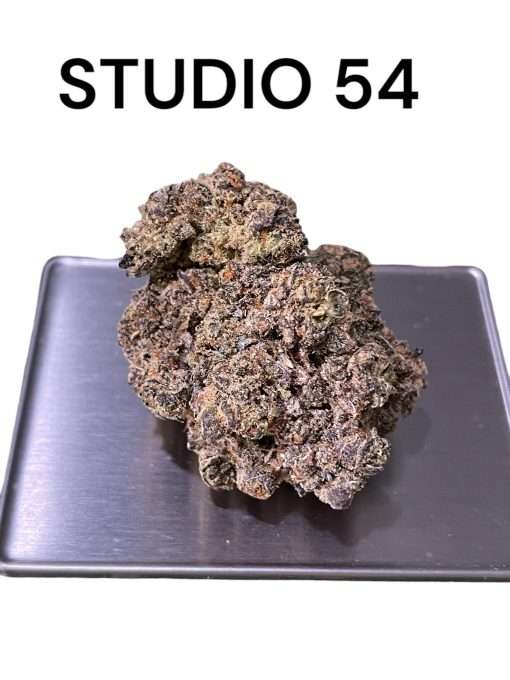 STUDIO 54 3.5g HYBRID INDOOR ON SALE 24%THC