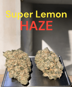 SUPER LEMON HAZE 3.5g SATIVA 27% THC 🔥🔥🔥INDOOR