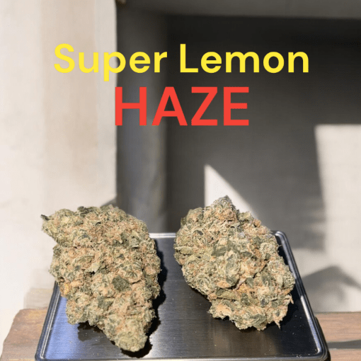 SUPER LEMON HAZE 3.5g SATIVA 27% THC 🔥🔥🔥INDOOR