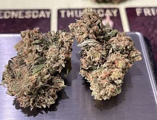 GEORGIA PIE 28g OZ ON SALE 20% THC