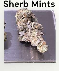 SHERB MINTS 28g OZ ON SALE INDOOR (Small Nugs) INDICA 26%THC 🔥🔥