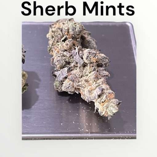 SHERB MINTS 28g OZ ON SALE INDOOR (Small Nugs) INDICA 26%THC 🔥🔥