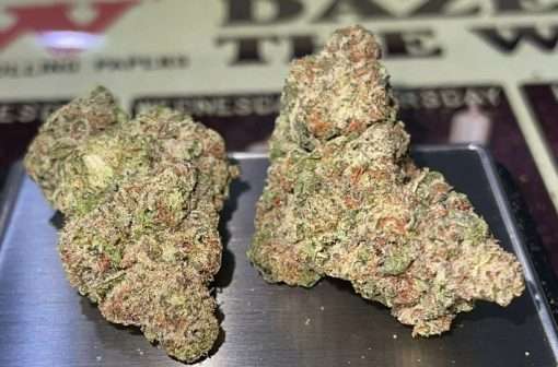 OBAMA RUNTZ 28g OZ ON SALE INDICA  🔥🔥