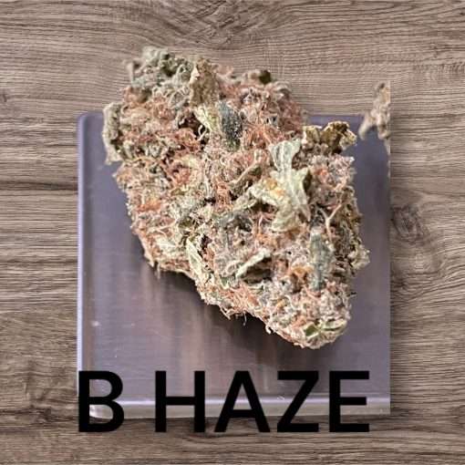 BLUBERRY HAZE 3.5g 27%THC SATIVA 🔥🔥 INDOOR