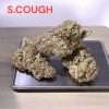 STRAWBERRY COUGH 28g SATIVA OZ ON SALE 26%THC