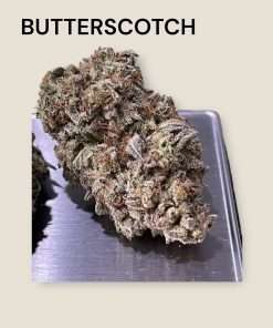 BUTTERSCOTCH 28g OZ INDICA ON SALE 🔥🔥