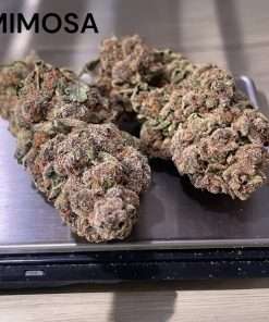 MIMOSA 28g OZ SATIVA ON SALE 🔥🔥24%THC