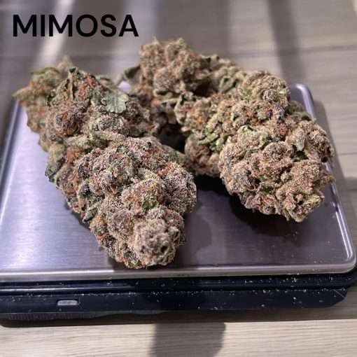 MIMOSA 28g OZ SATIVA ON SALE 🔥🔥24%THC