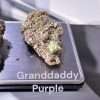 GRAND DADDY PURPLE 28g INDICA 25% 🔥🔥