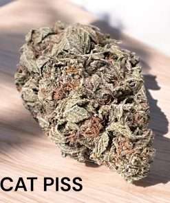 CAT PISS 3.5g INDOOR SATIVA 27%THC