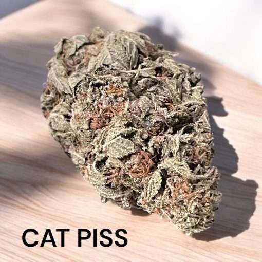 CAT PISS 3.5g INDOOR SATIVA 27%THC