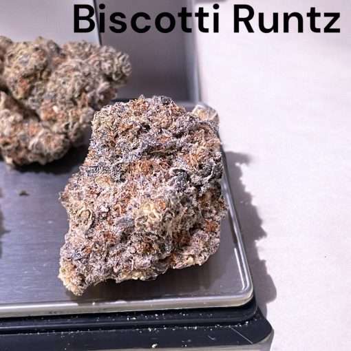 BISCOTTI RUNTZ 3.5g HYBRID 27%THC 🔥🔥