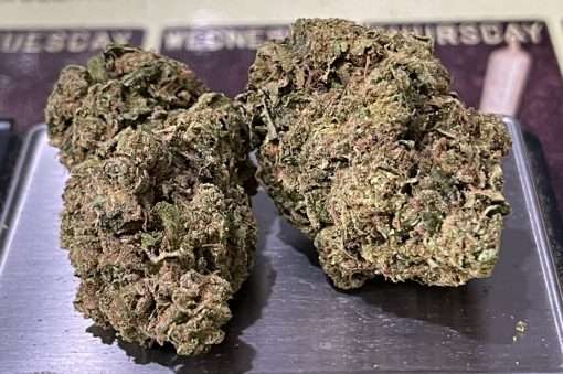 CHEM DOG Special Reserve 28g OZ ON SALE SATIVA 🔥🔥